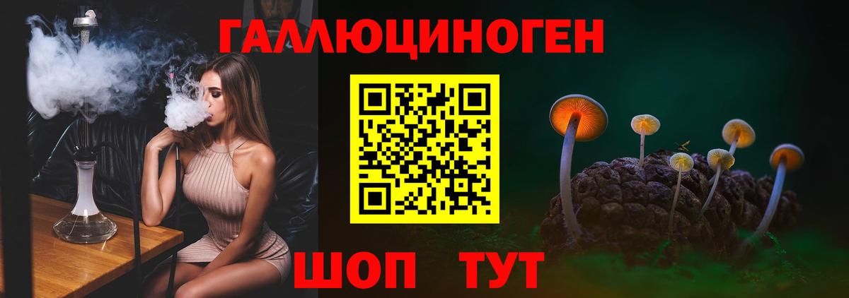 Можайск  Галлюциногенные грибы Cubensis  где купить   Вход с VPN 